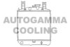 AUTOGAMMA 100242 Radiator, engine cooling